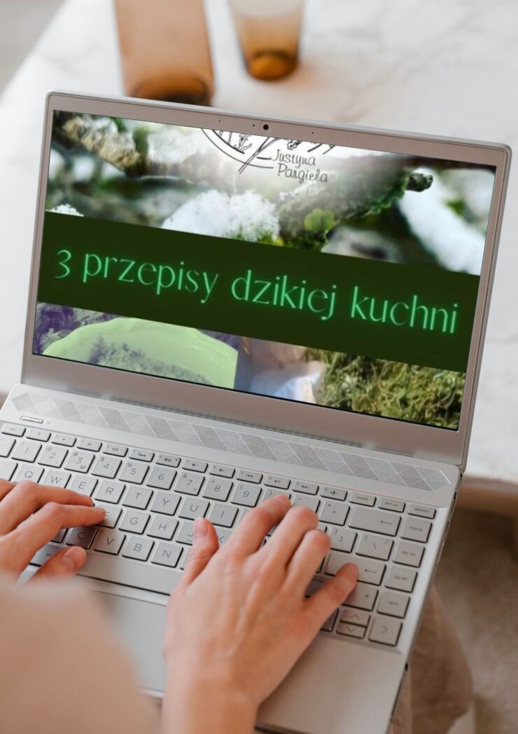 Reklama ebook pokazany na laptopie
