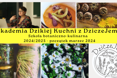 Plan zjazdów Akademii Dzikiej Kuchni z Dziczejemy Szkoła botaniczno - kulinarna