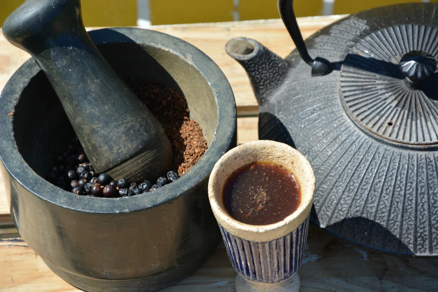 Szyszkojagody jałowca – Justyna Pargieła w PNŚ