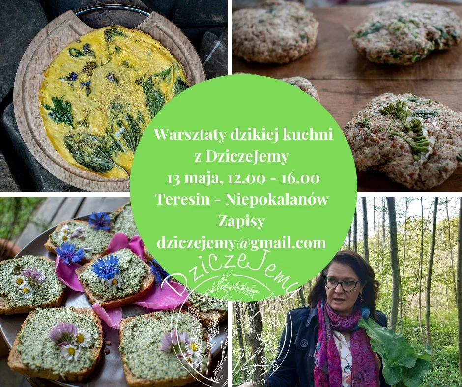 Warsztaty dzikiej kuchni