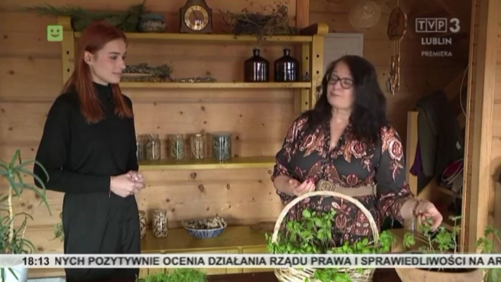 Zioła które można zimą uprawiać w domu